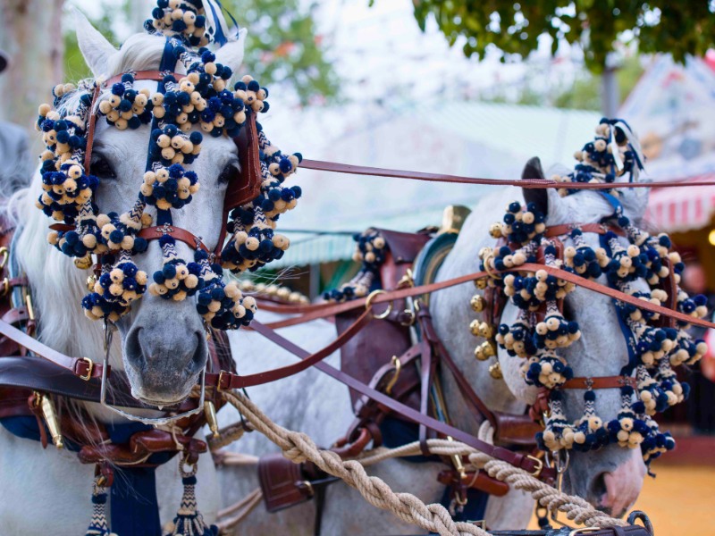 paseo de caballos feria sevilla