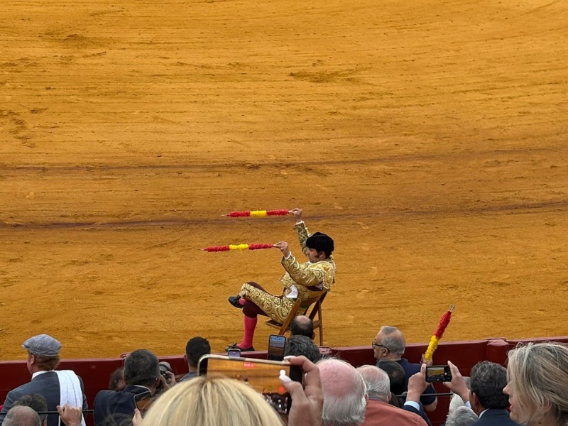 morante en la silla